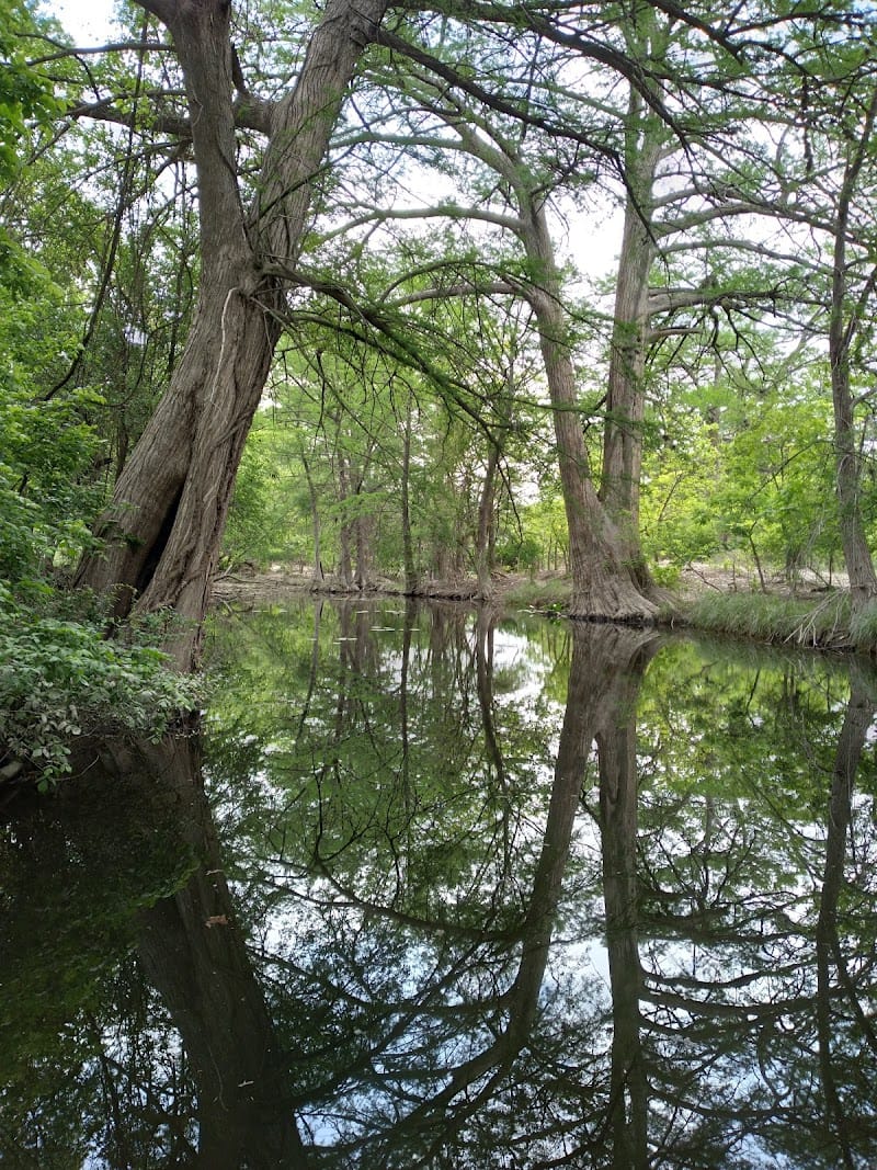 Lowry Park playground photo 2