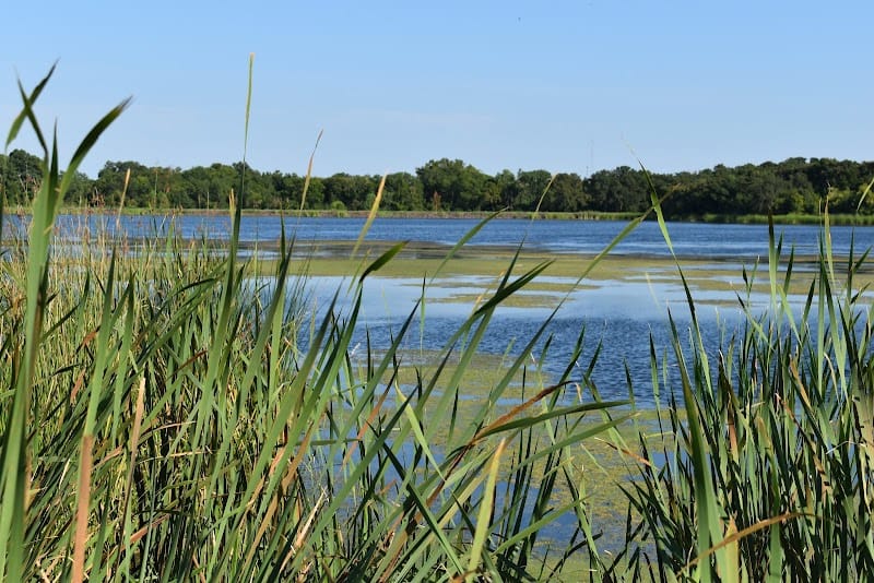 Loy Lake Park playground photo 2