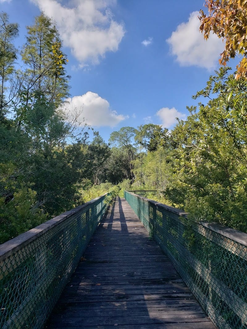 Loyd Tingler Park playground photo 3