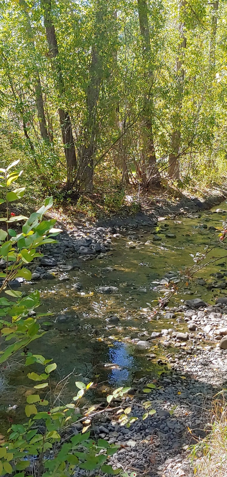 Lucy Loken Park playground photo 2