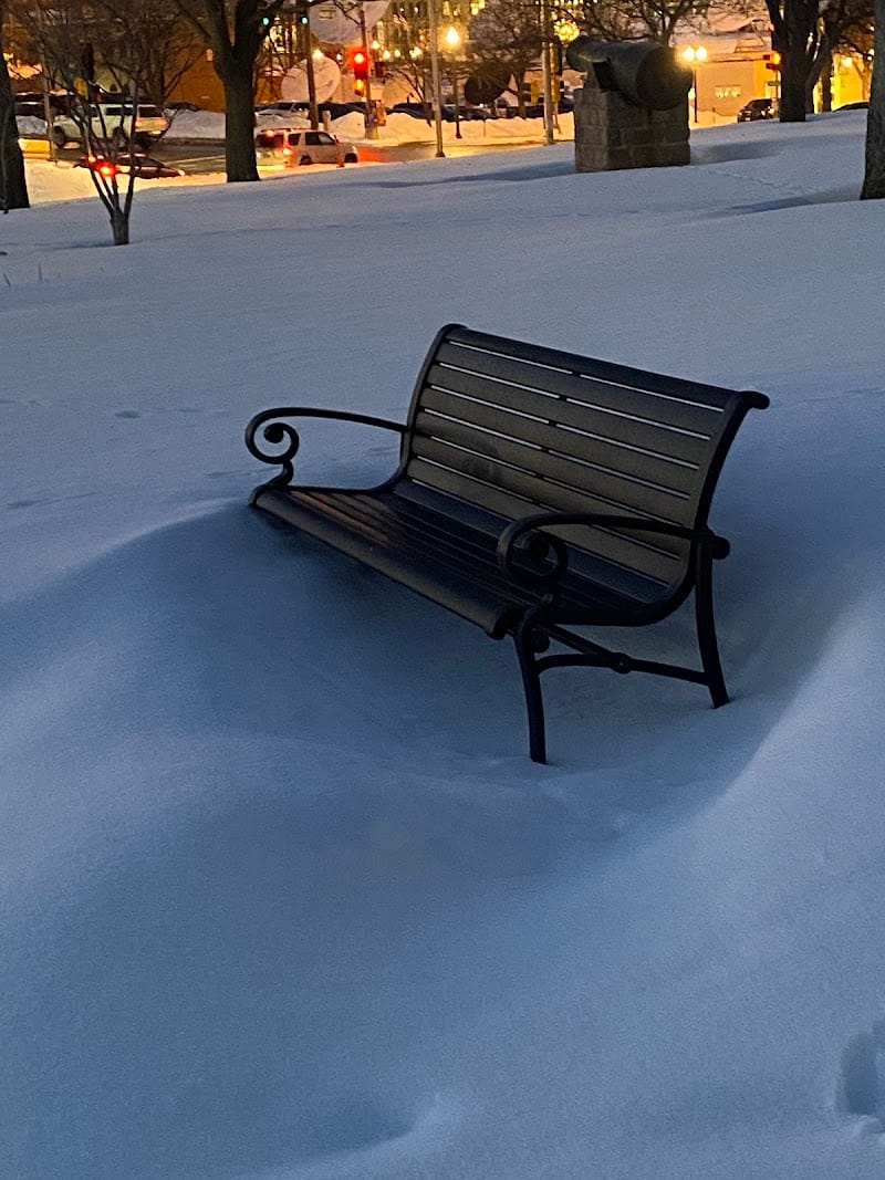 Lyon Park playground photo 1