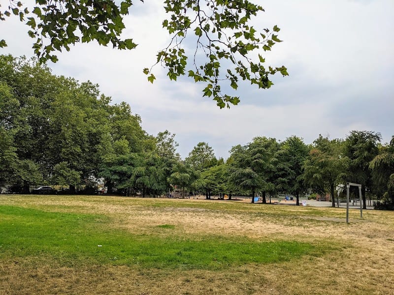 Madrona Playground playground photo 2