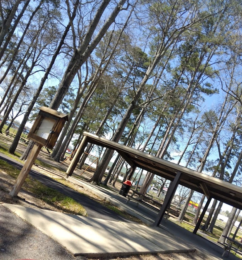 Malvern City Park playground photo 1
