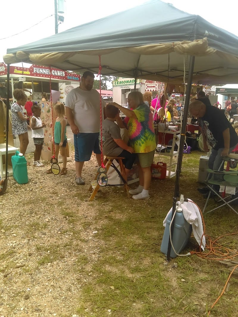 Malvern City Park playground photo 3
