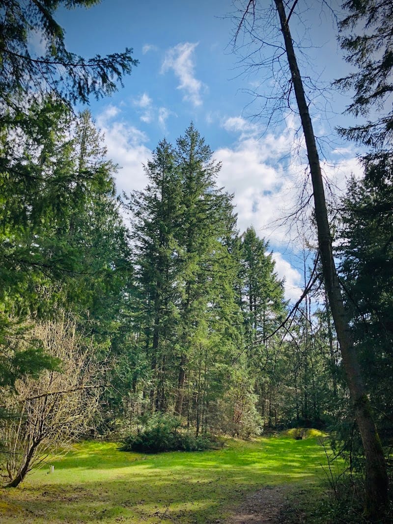 Manorwood Park playground photo 1