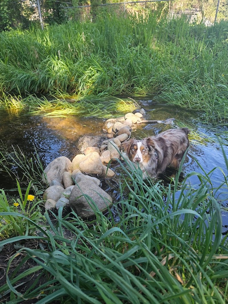 Mayfair Playfield playground photo 3