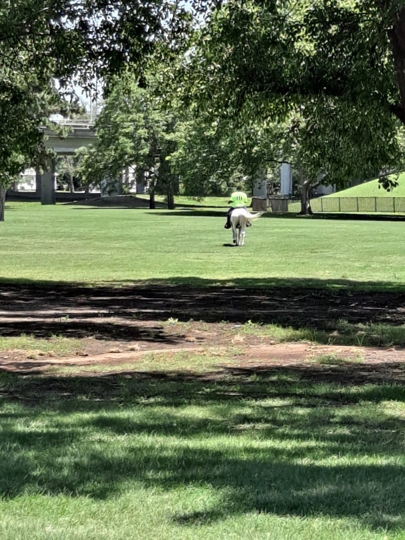 McAdams Park playground photo 3
