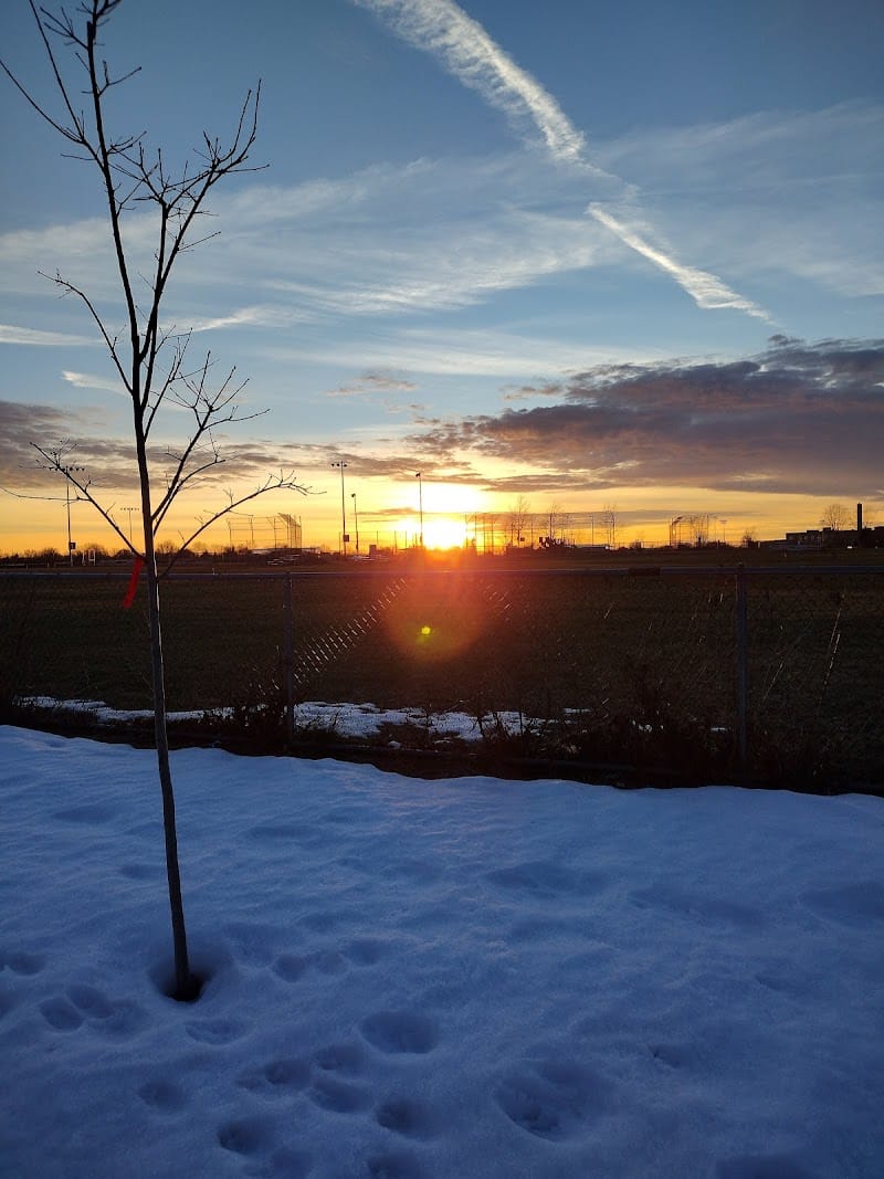 McCarthy Park playground photo 1