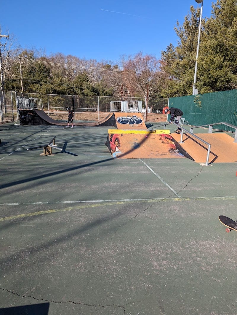 McGinn Skatepark playground photo 1
