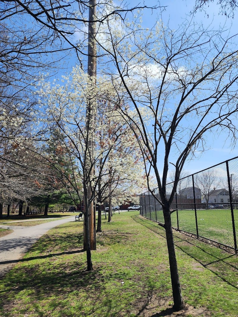 McKenna Playground playground photo 1