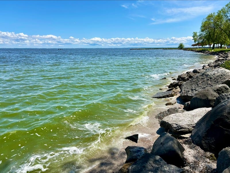 Menominee Park playground photo 3