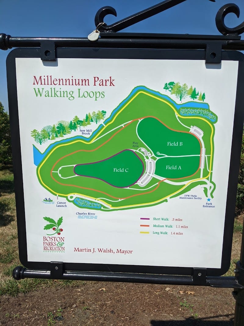 Millennium Park playground photo 1