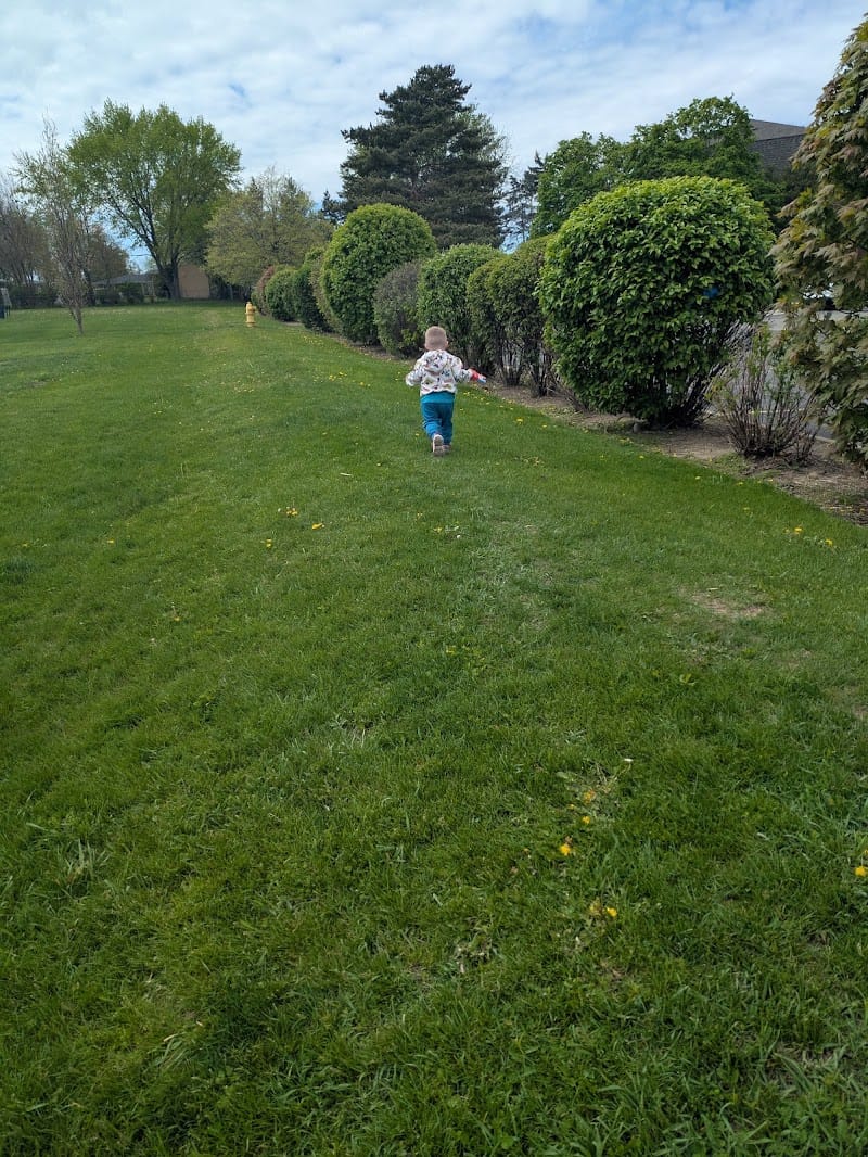 Millennium Park playground photo 2