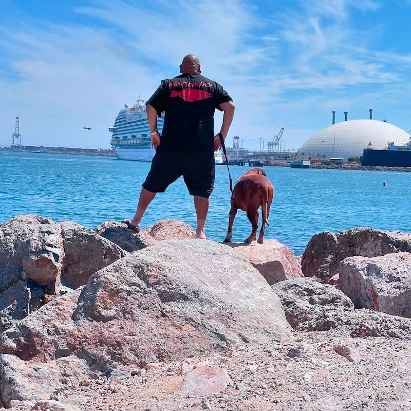 Mirador Long Beach playground photo 2