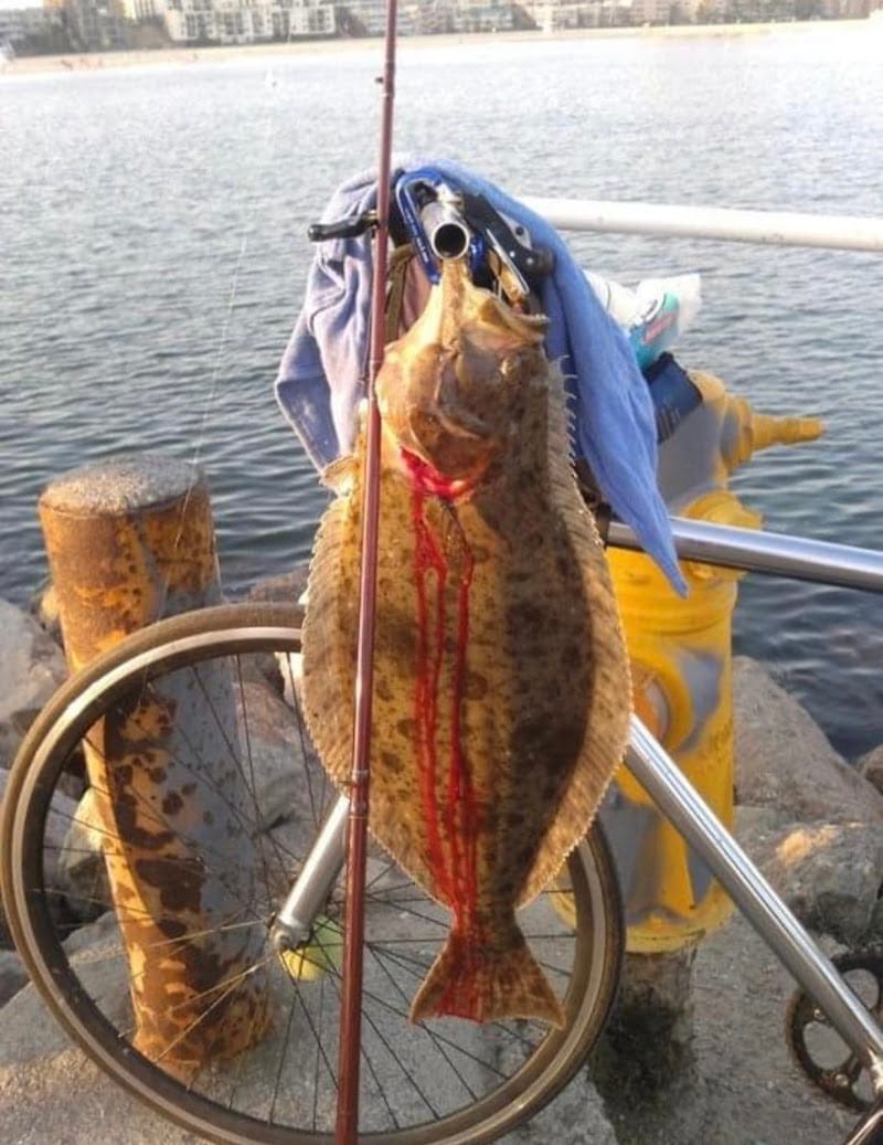 Mirador Long Beach playground photo 3