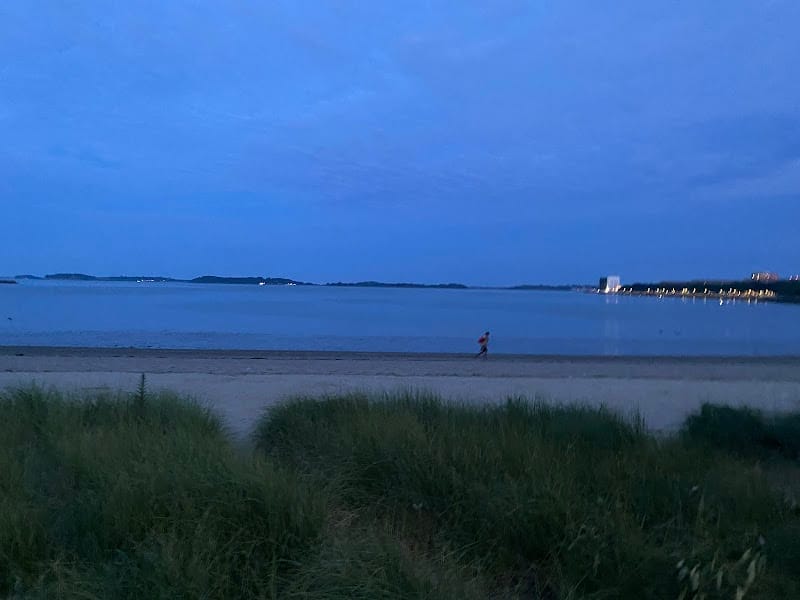 Moakley Park playground photo 1