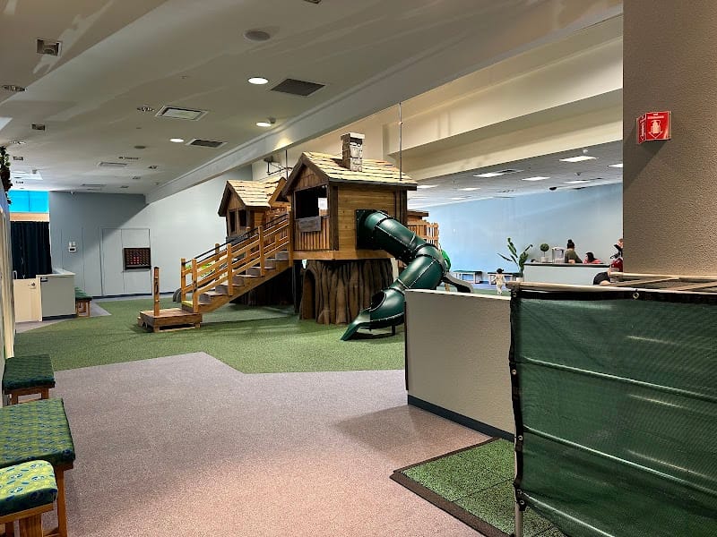 Monkeyin Around playground photo 2