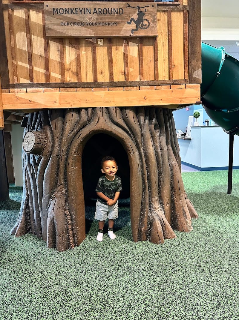 Monkeyin Around playground photo 3