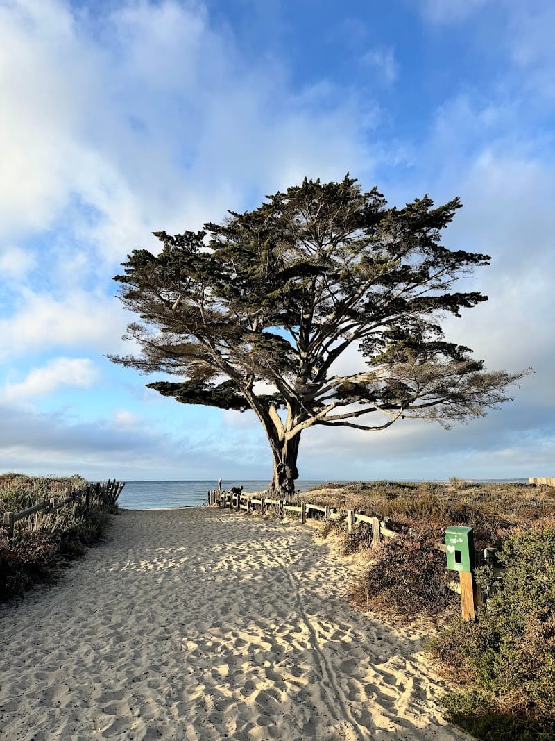 Monterey Bay Park playground photo 1