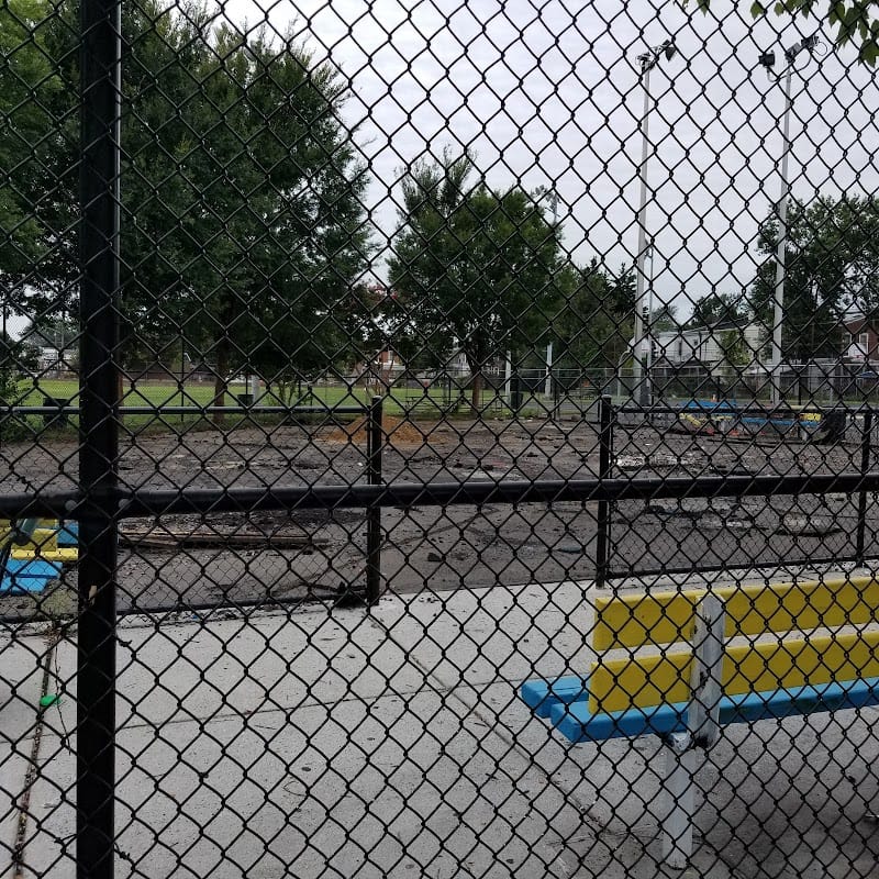 Moss Playground playground photo 3