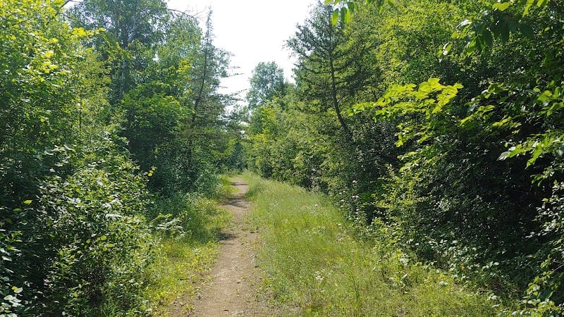 Mound Park playground photo 1