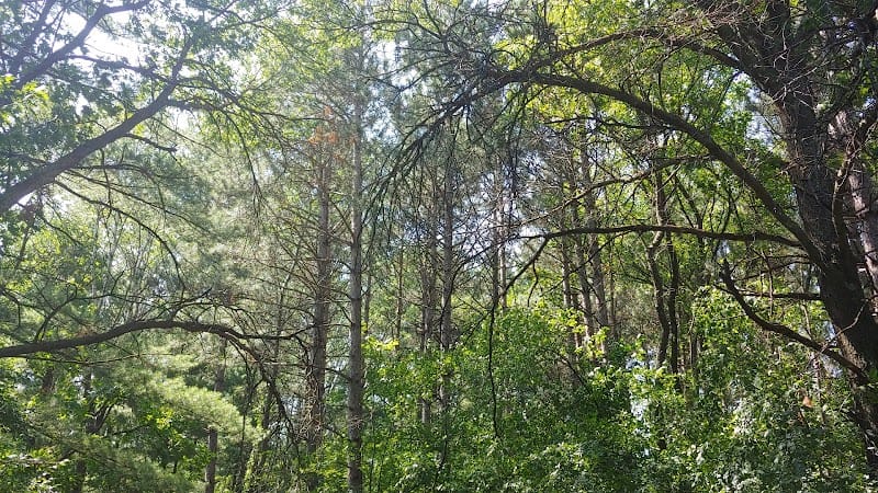 Mound Park playground photo 2