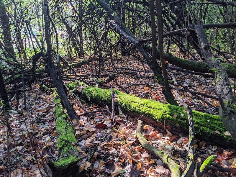 Mound Park playground photo 3