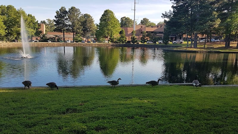 Municipal Park playground photo 2