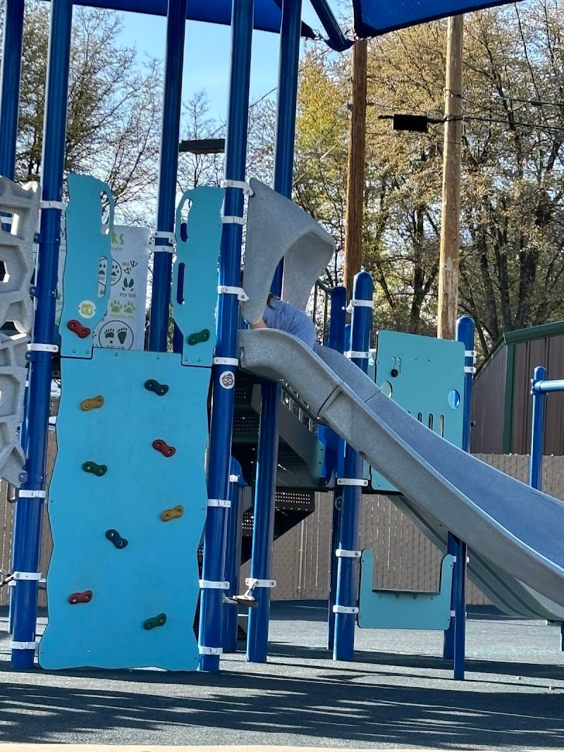 Mustang Park playground photo 2