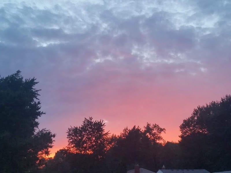 Nash Memorial Park playground photo 3