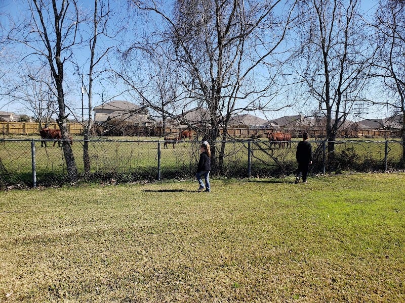 Newcastle Park playground photo 2