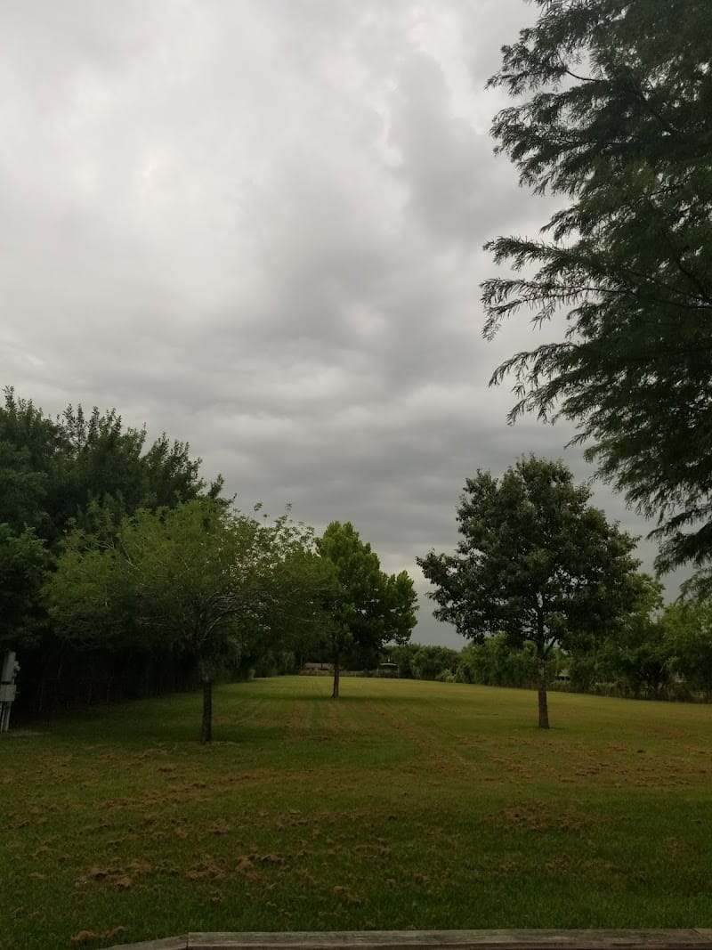 Newcastle Park playground photo 3