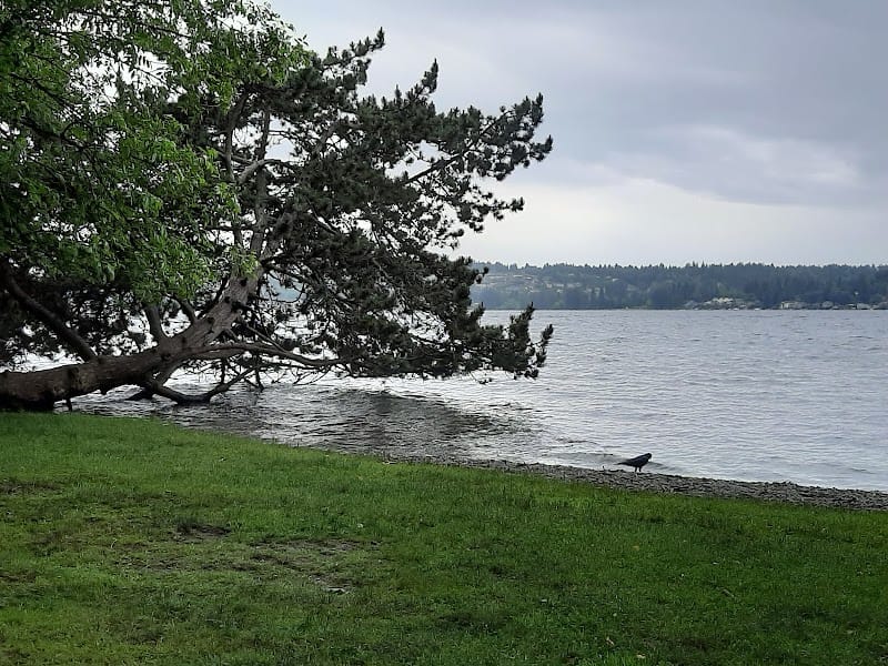 O. O. Denny Park playground photo 3
