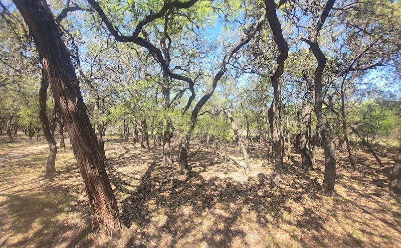 O. P. Schnabel Park playground photo 3