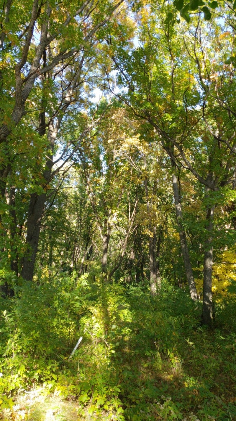 Oak Savannah Park playground photo 2
