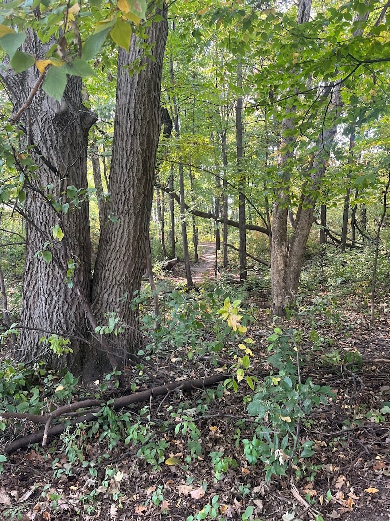 Oak Savannah Park playground photo 3