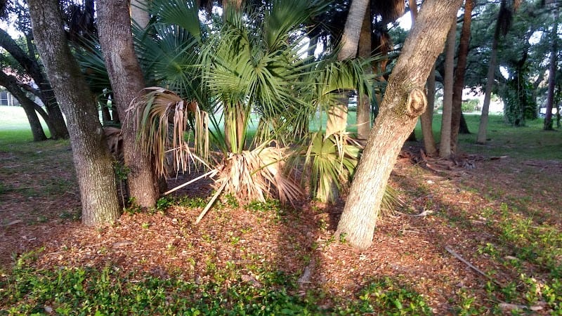 Oakmont Park playground photo 2