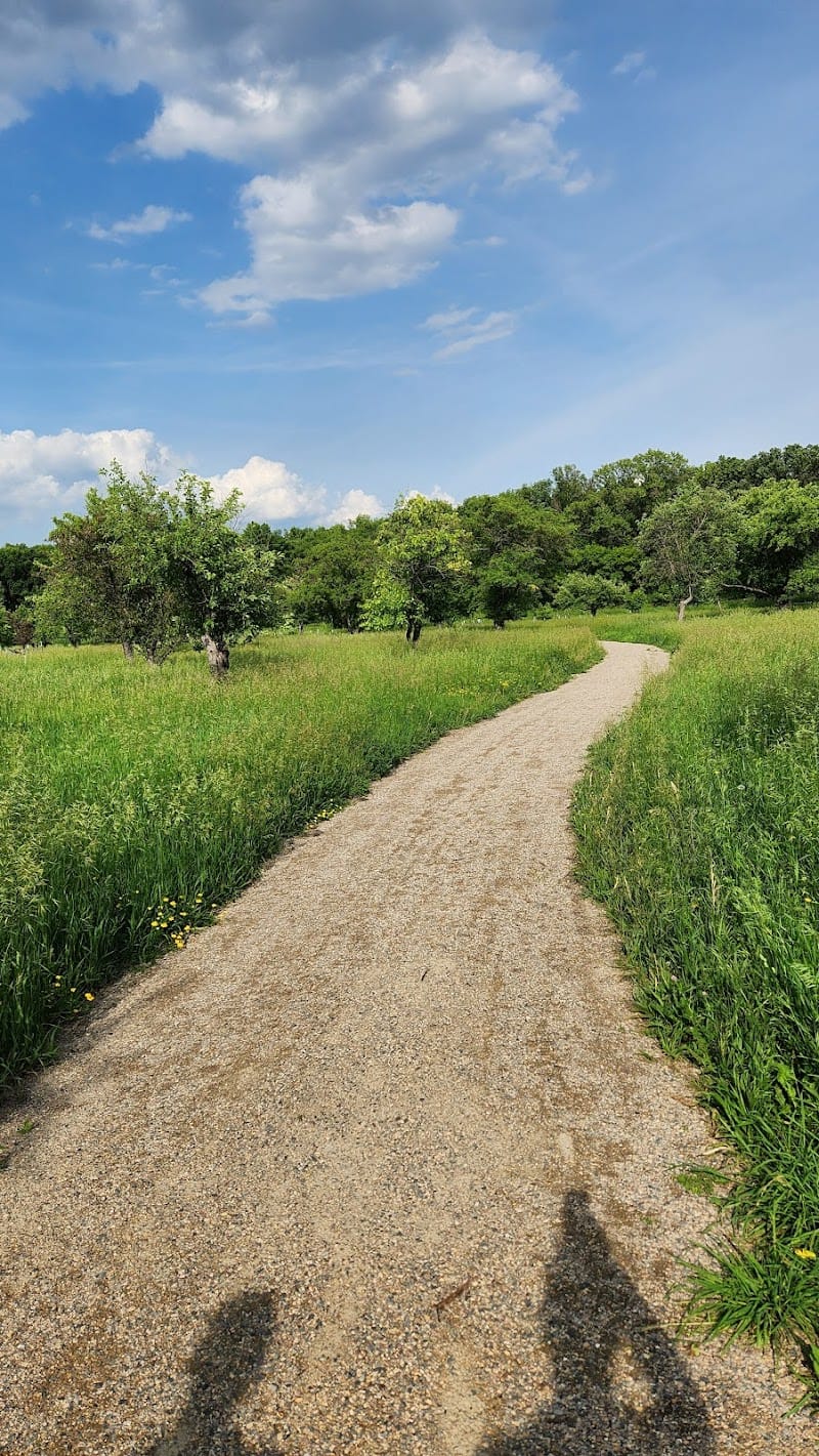 Orchard Glen Park playground photo 3
