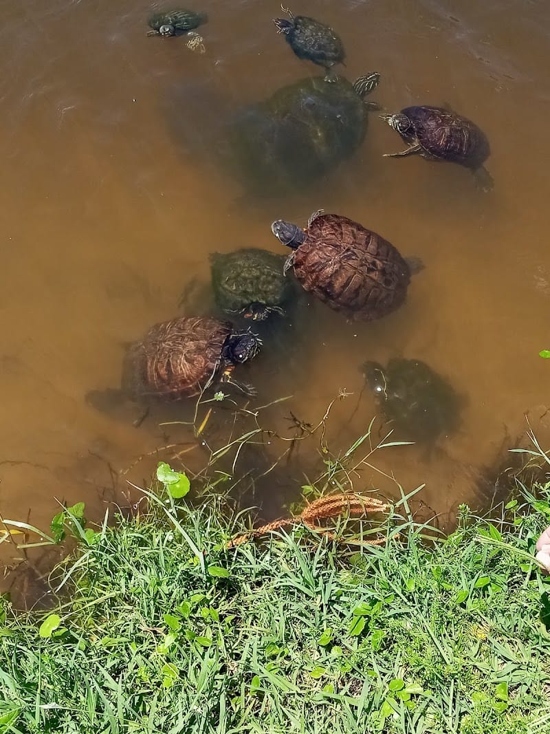 Ormond Shores Park playground photo 1