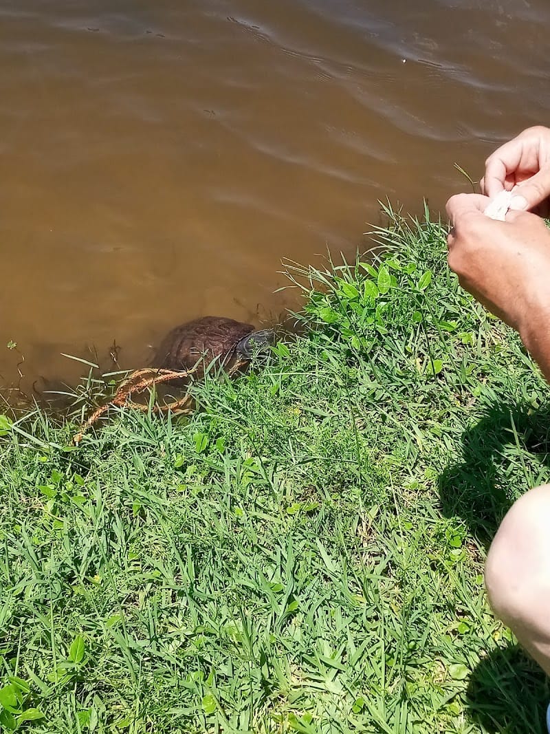 Ormond Shores Park playground photo 2