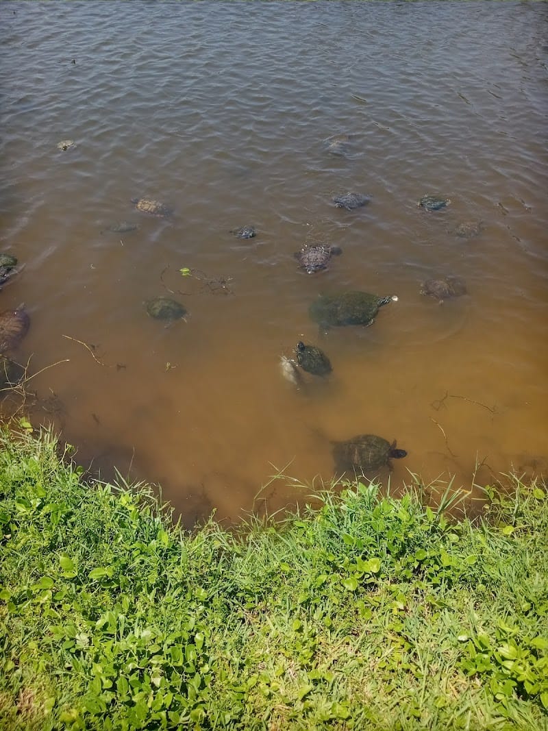 Ormond Shores Park playground photo 3