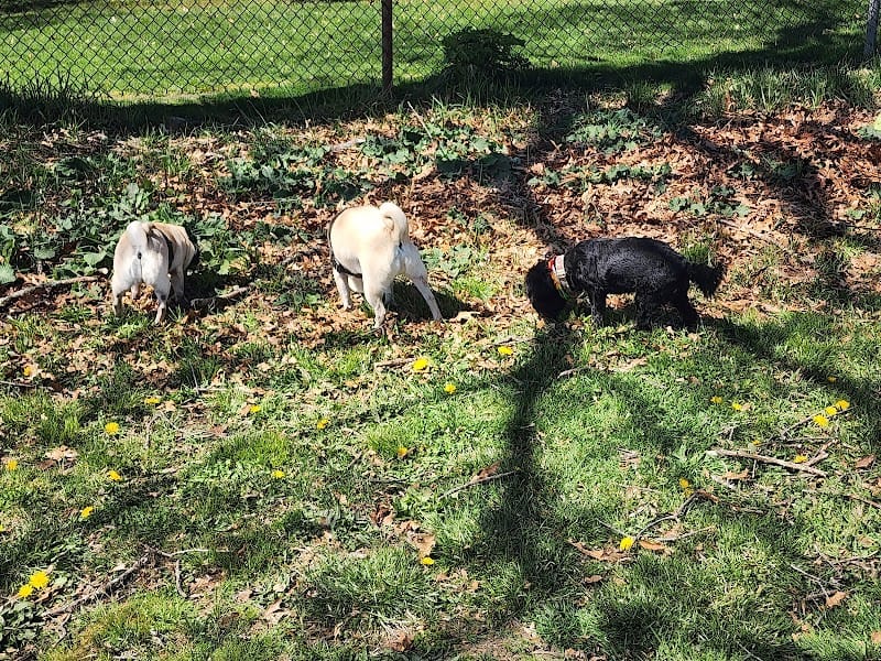 O'Rourke Field playground photo 1