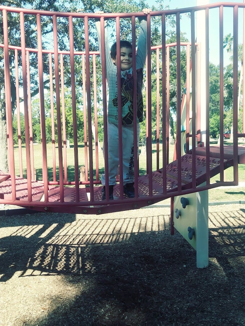 Palma Sola Park playground photo 2