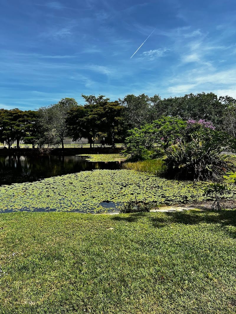 Palma Sola Park playground photo 3