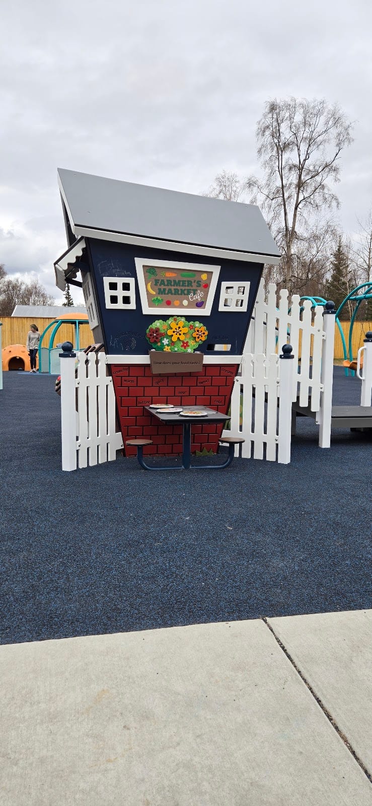 Palmer Family Park playground photo 2