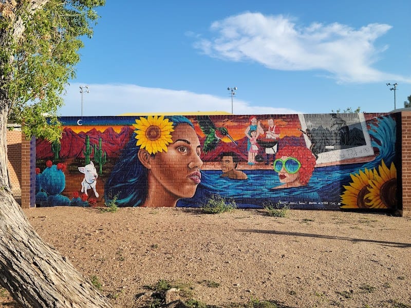 Palo Verde Park playground photo 3