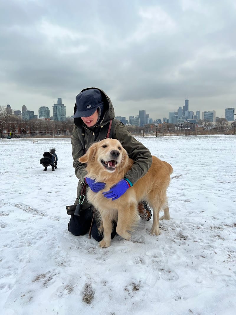 Park #598 playground photo 3