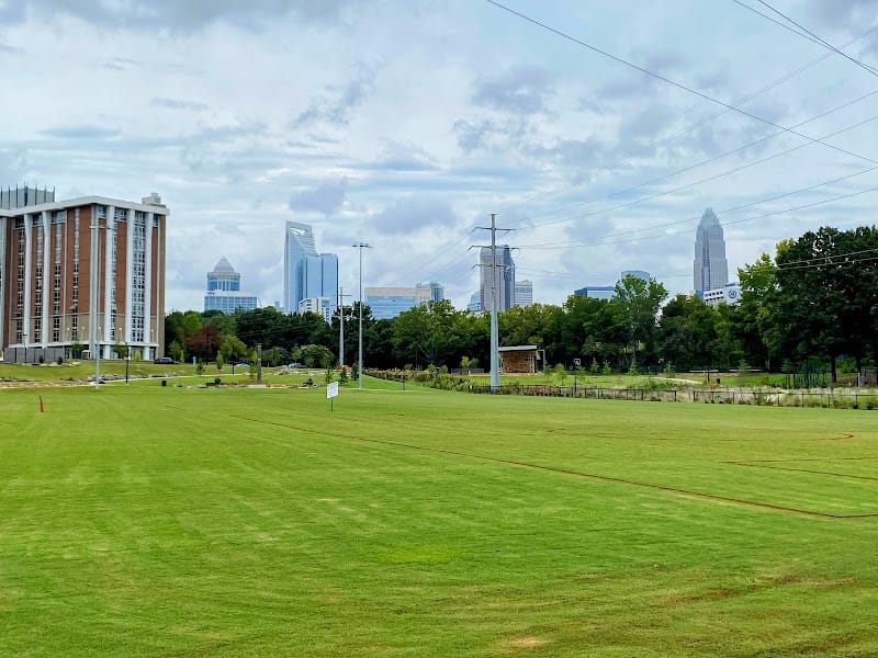 Pearl Street Park playground photo 2