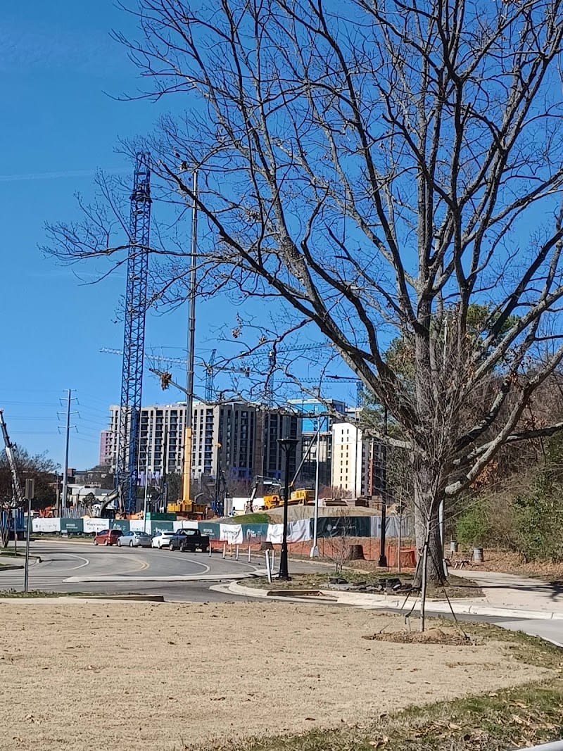 Pearl Street Park playground photo 3