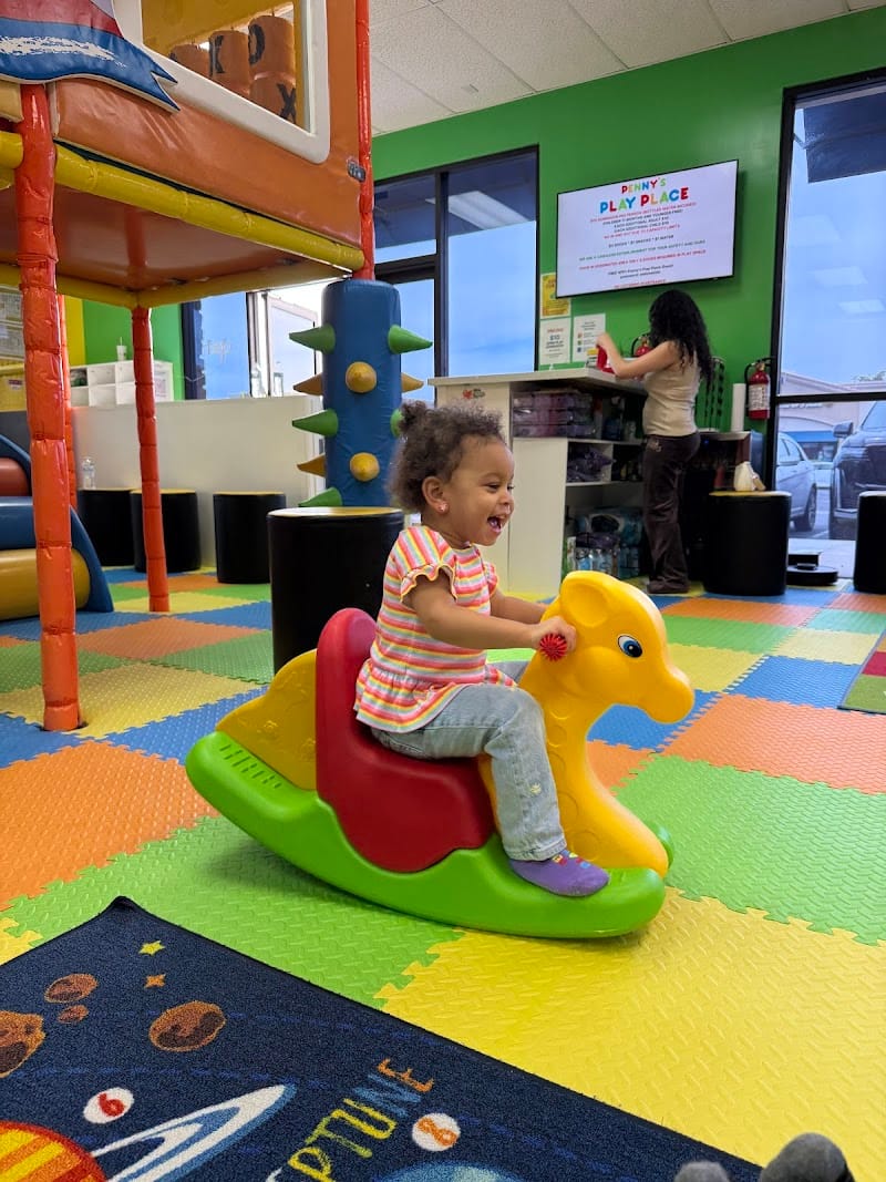 Penny's Play Place playground photo 2